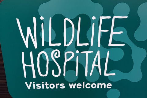 Healesville Sanctuary And Rayners Orchard Tour From Melbourne - Accommodation Great Ocean Road 1