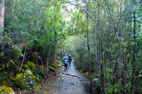Kunanyi/Mt Wellington Tour & Hobart Hop-On Hop-Off Bus - Accommodation Great Ocean Road 1