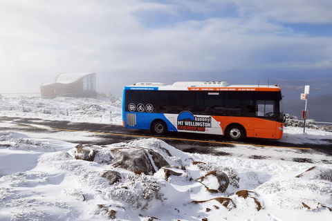Kunanyi/Mt Wellington Tour & Hobart Hop-On Hop-Off Bus - Accommodation Great Ocean Road 2
