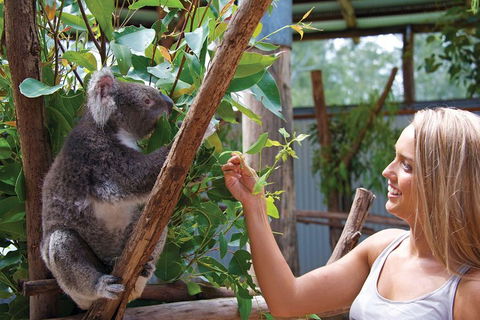 Private Guided Tour: Blue Mountains Tour From Sydney - Accommodation Great Ocean Road 5