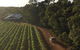 The All About Margaret River Tour: Wine, Coffee, Lunch And Forest - thumb 1