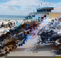 Bondi  Sydney Sights Trike Tour 1.5hrs - Accommodation Great Ocean Road