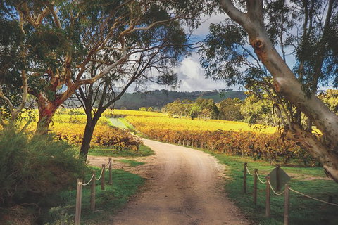 McLaren Vale Winery Small Group Tour With Wine Tasting And Lunch - Accommodation Great Ocean Road 1