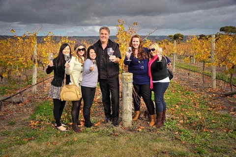 McLaren Vale Winery Small Group Tour With Wine Tasting And Lunch - Accommodation Great Ocean Road 3