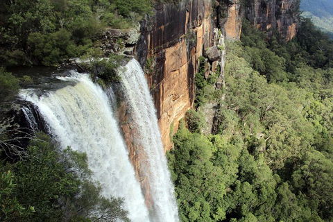 Private Grand Pacific Drive And Southern Highlands Tour - Accommodation Great Ocean Road 1