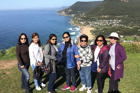 Private Grand Pacific Drive And Southern Highlands Tour - Accommodation Great Ocean Road 3