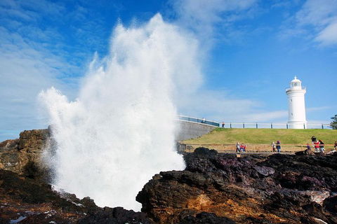 Private Grand Pacific Drive And Southern Highlands Tour - Accommodation Great Ocean Road 4