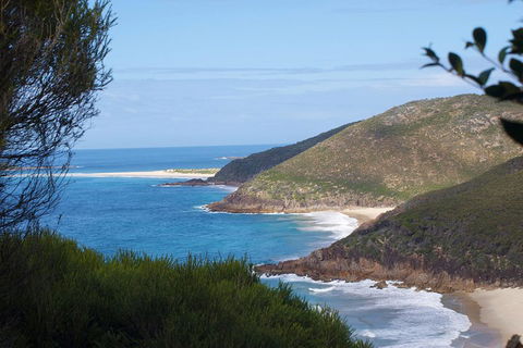 Private Port Stephens Day Trip From Sydney Including Dolphin Cruise - Accommodation Great Ocean Road 0