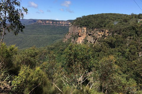 Full-Day Private Blue Mountains Tour With River Cruise - Accommodation Great Ocean Road 1