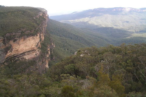 Full-Day Private Blue Mountains Tour With River Cruise - Accommodation Great Ocean Road 3