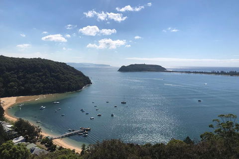 5 Day Kayak Adventure Down Hawkesbury River - Accommodation Great Ocean Road 5