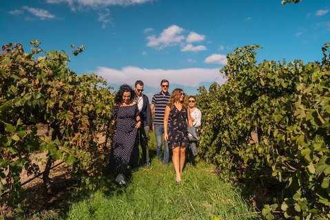Barossa Valley Private Tour (from 2 To 11 People) - Accommodation Great Ocean Road 0