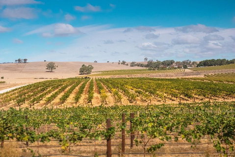 Barossa Valley Private Tour (from 2 To 11 People) - Accommodation Great Ocean Road 2