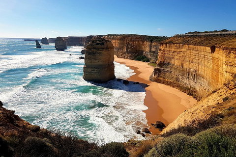 Helicopter Flight + Fine Dining Private Luxury Great Ocean Road Tour - Accommodation Great Ocean Road 4