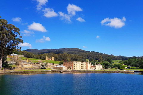 Tasmania 4 Day East Coast + Launceston - Accommodation Great Ocean Road 0