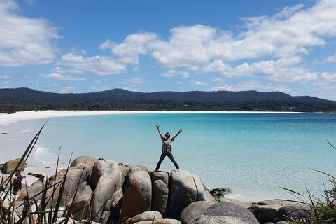 Tasmania 4 Day East Coast + Launceston - Accommodation Great Ocean Road 1