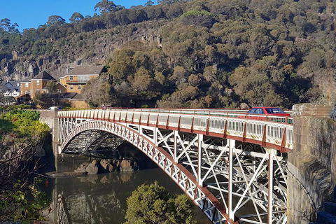 Tasmania 4 Day East Coast + Launceston - Accommodation Great Ocean Road 5