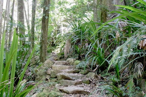 Byron Bay Combo: Minyon Falls And Hinterland Day Trip And Learn To Surf At Byron Bay - Accommodation Great Ocean Road 3