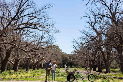 Adelaide 90-Minute Pedicab Tour: Scenic Green & River Experience - Accommodation Great Ocean Road 1