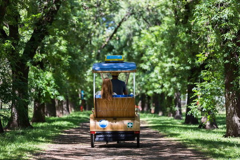 Adelaide 90-Minute Pedicab Tour: Scenic Green & River Experience - Accommodation Great Ocean Road 2
