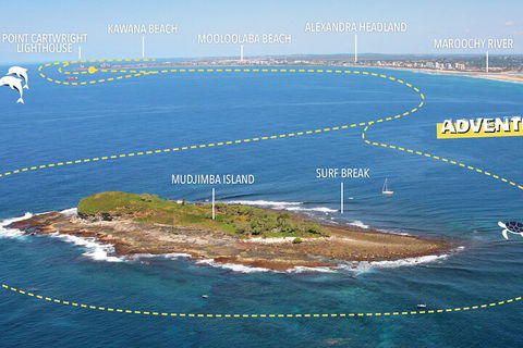 1.5HR Mudjimba Island Wildlife Safari - Accommodation Great Ocean Road 1