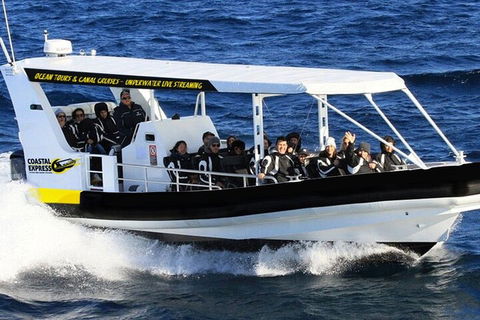 1.5HR Mudjimba Island Wildlife Safari - Accommodation Great Ocean Road 2