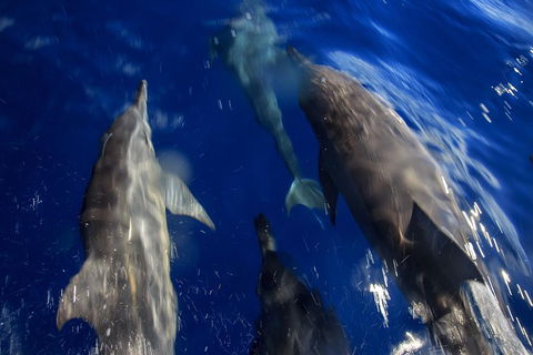 1.5HR Mudjimba Island Wildlife Safari - Accommodation Great Ocean Road 3