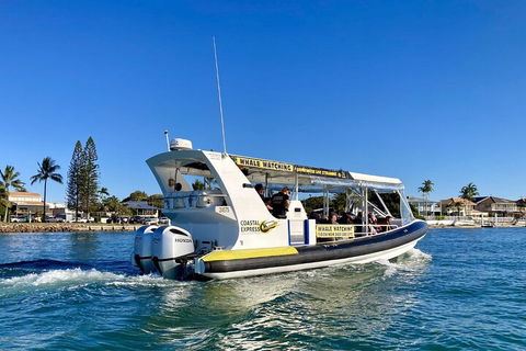 1.5HR Mudjimba Island Wildlife Safari - Accommodation Great Ocean Road 4