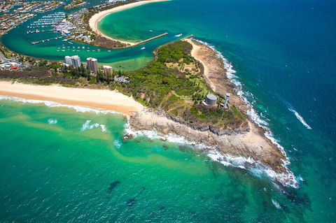 1.5HR Mudjimba Island Wildlife Safari - Accommodation Great Ocean Road 5