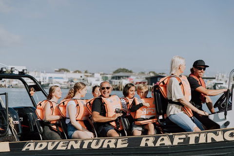 Adventure Whale Watching Tour Mooloolaba - Accommodation Great Ocean Road 4