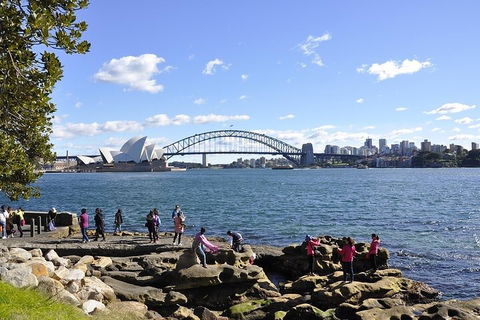 Sydney Sightseeing Bus Tours - Accommodation Great Ocean Road 2