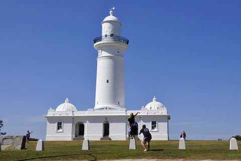 Sydney Sightseeing Bus Tours - Accommodation Great Ocean Road 5