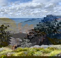 Blue Mountains Private Tour - wild kangaroos waterfalls and The Three Sisters - Accommodation Great Ocean Road