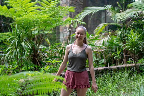 Full-Day Guided Hinterland Adventure Tour In Queensland - Accommodation Great Ocean Road 0