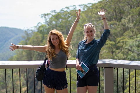 Full-Day Guided Hinterland Adventure Tour In Queensland - Accommodation Great Ocean Road 3