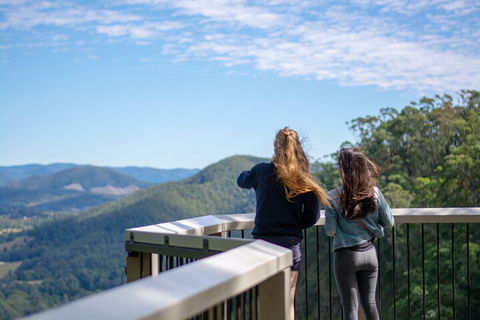 Full-Day Guided Hinterland Adventure Tour In Queensland - Accommodation Great Ocean Road 5