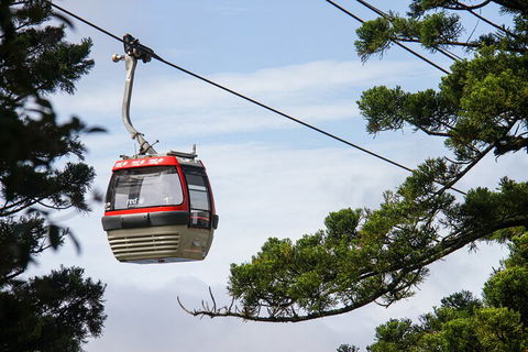Sydney Taronga Zoo General Entry Ticket And Wild Australia Experience - Accommodation Great Ocean Road 2
