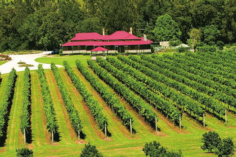 O'Reilly's & Lamington National Park From Gold Coast - Accommodation Great Ocean Road 2