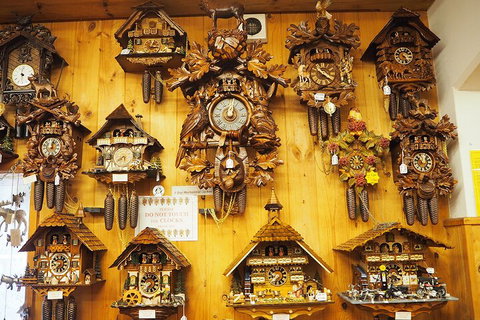 O'Reilly's & Lamington National Park From Gold Coast - Accommodation Great Ocean Road 5