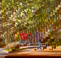 Darwin City Sights and Jumping Crocodile Cruise - Accommodation Great Ocean Road