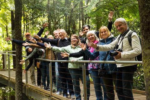 All Inclusive Blue Mountains Small-Group Day Trip From Sydney - Accommodation Great Ocean Road 5