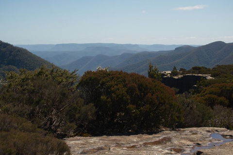 The Explorers' Discovery Tour - Gold, Wine & Wildlife - Accommodation Great Ocean Road 3