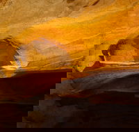 From the Mountains to the Bay - 4 Day Rediscovery Small Group Tour - Accommodation Great Ocean Road