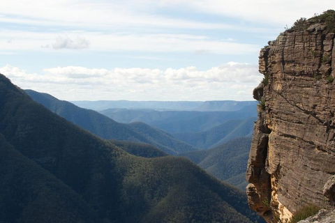 Inside The Greater Blue Mountains World Heritage - A Wildlife Safari Overnight - Accommodation Great Ocean Road 4