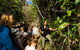 Cape Byron Aboriginal Tour - thumb 4
