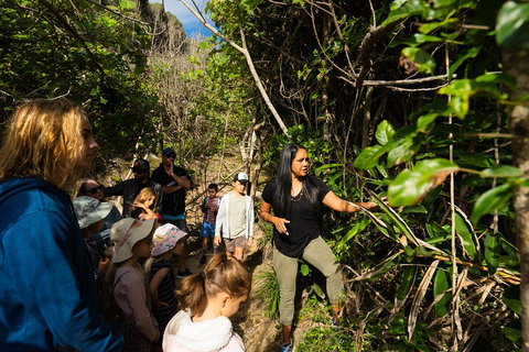 Cape Byron Aboriginal Tour - Accommodation Great Ocean Road 4