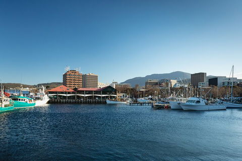Hobart City Sightseeing Tour Including MONA Admission - Accommodation Great Ocean Road 0