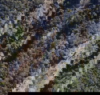 Leven Canyon Day Trip Including Wings Wildlife Park or Gunns Plains Caves - Accommodation Great Ocean Road