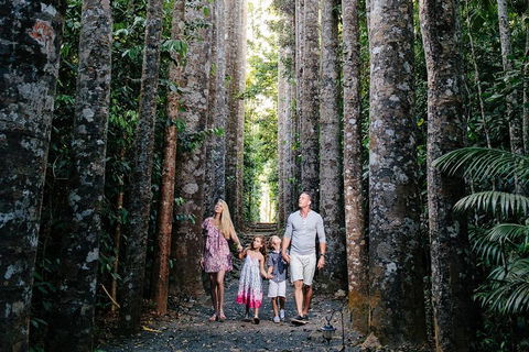 The Original Day Tour To Paronella Park, Lake Barrine And Millaa Millaa Falls - Accommodation Great Ocean Road 1
