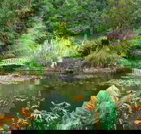 Hobart Half-Day Sightseeing Coach Tram Tour - Accommodation Great Ocean Road